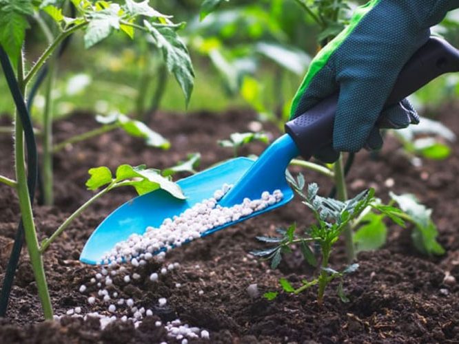 Adubos e fertilizantes