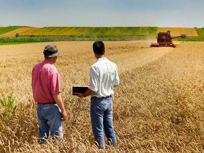 Caderno de campo